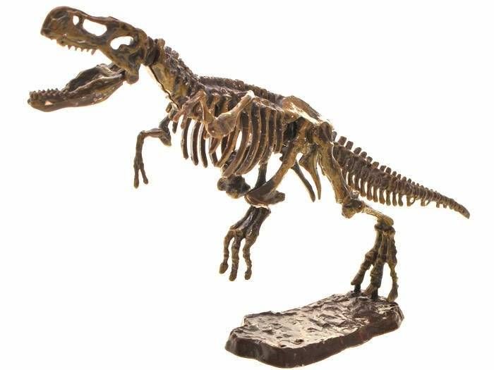 Szkielet Dinozaur Trex 3D Zestaw Figurka Dinozaury