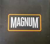 Botas de Segurança Magnum Centurion 8.0 – Nº 43