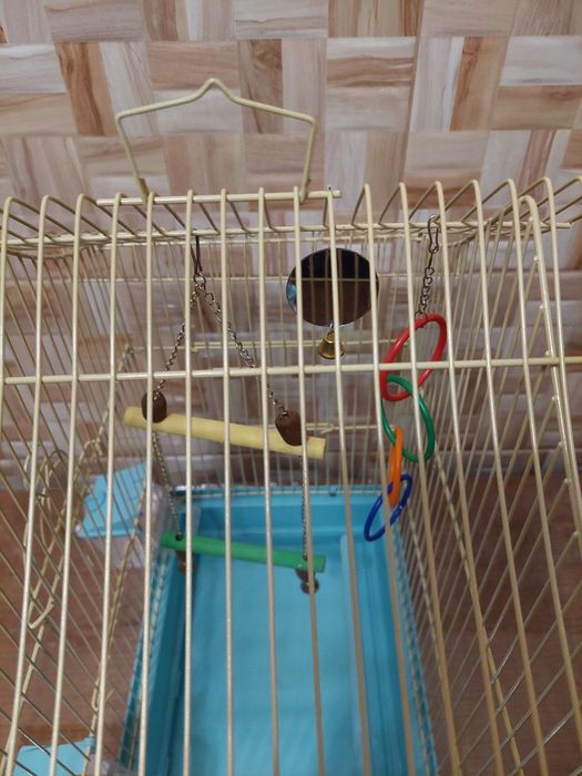 Продам нову клітку Лорі для папуг/канарок/амадинів