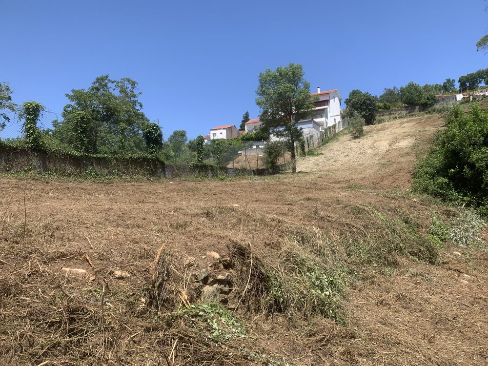 Limpeza terrenos