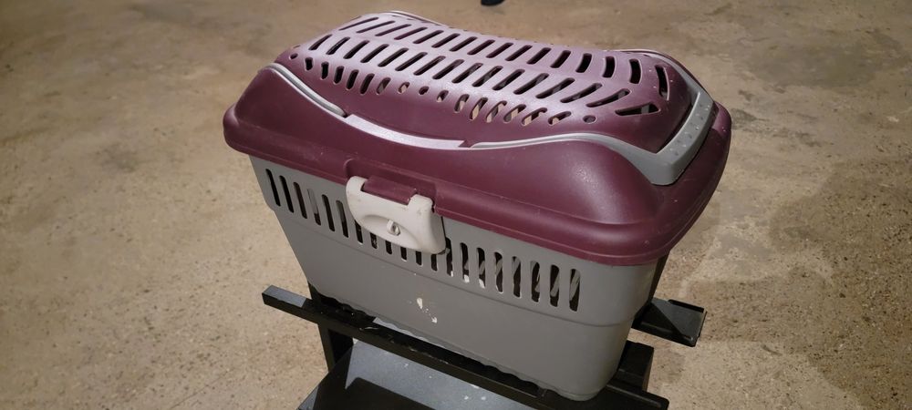 Transportadora Gatos