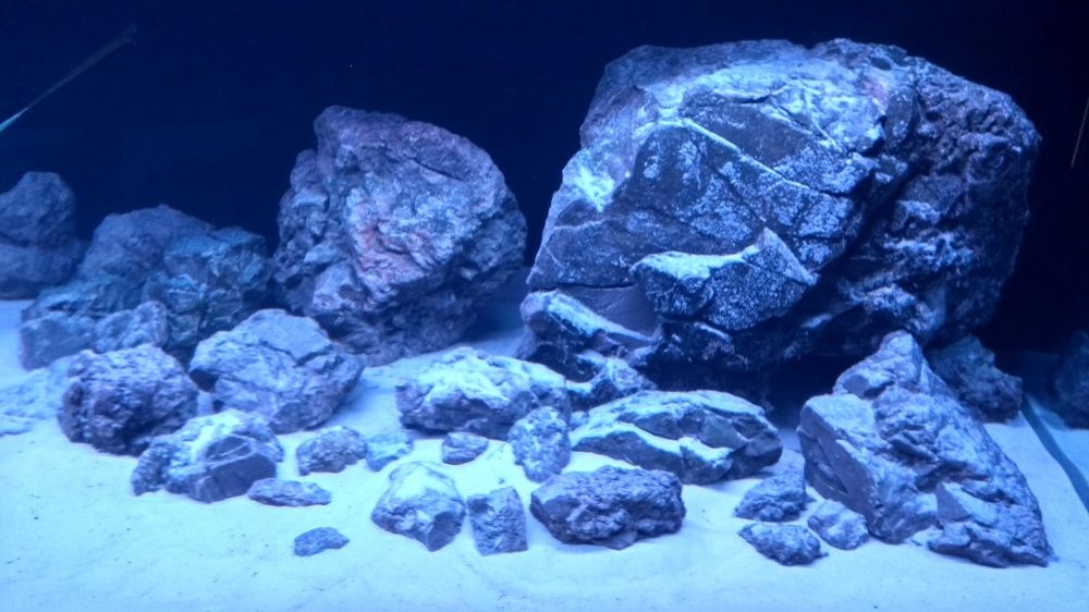 Aranzacja iwagumi unikalny kamien