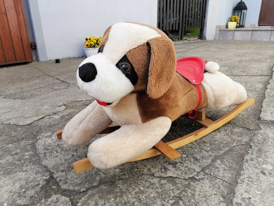 Pies na biegunach- bujak