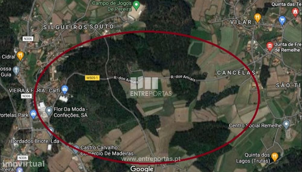 Venda de Terreno Florestal com 9000m2, Pereira, Barcelos