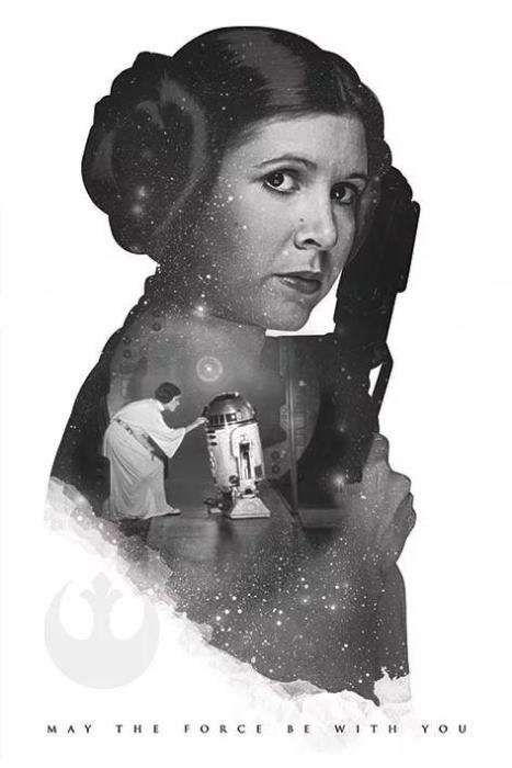 Posters novos Star Wars - Yoda e P. Leia