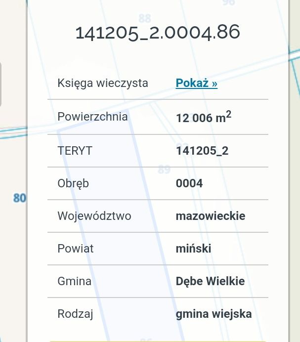 Działka 12006 m2 Cezarów gm.Dębe Wielkie