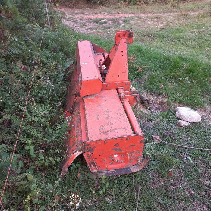 Frese Galucho descentrada