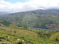 Terreno  para venda