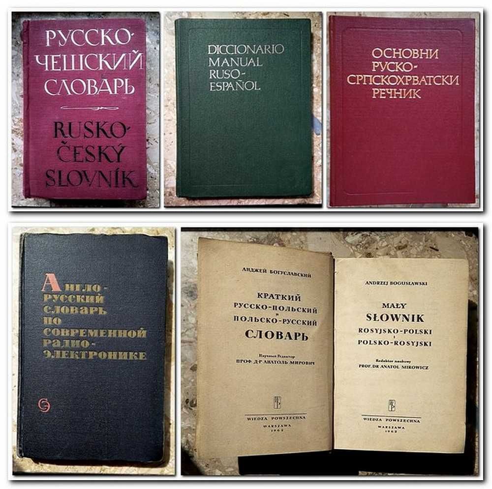 Книга  Словарь чешский испанский сербохорватский польский
