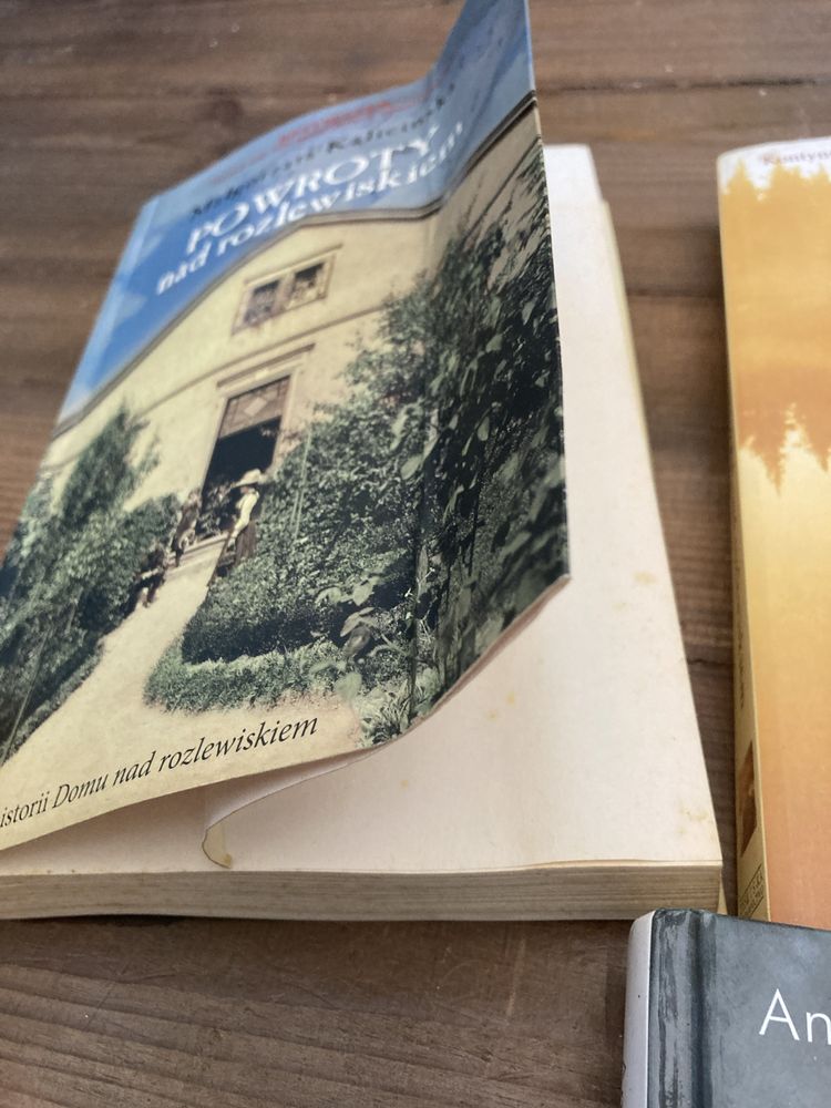 Dziewczyny z powstania, Milosc nad rozlewiskiem, Dublerka i inne ksiaz