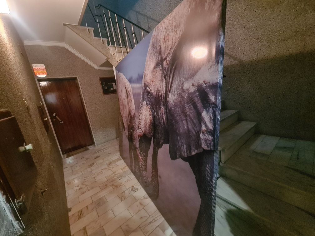 Quadro Grande de Elefante