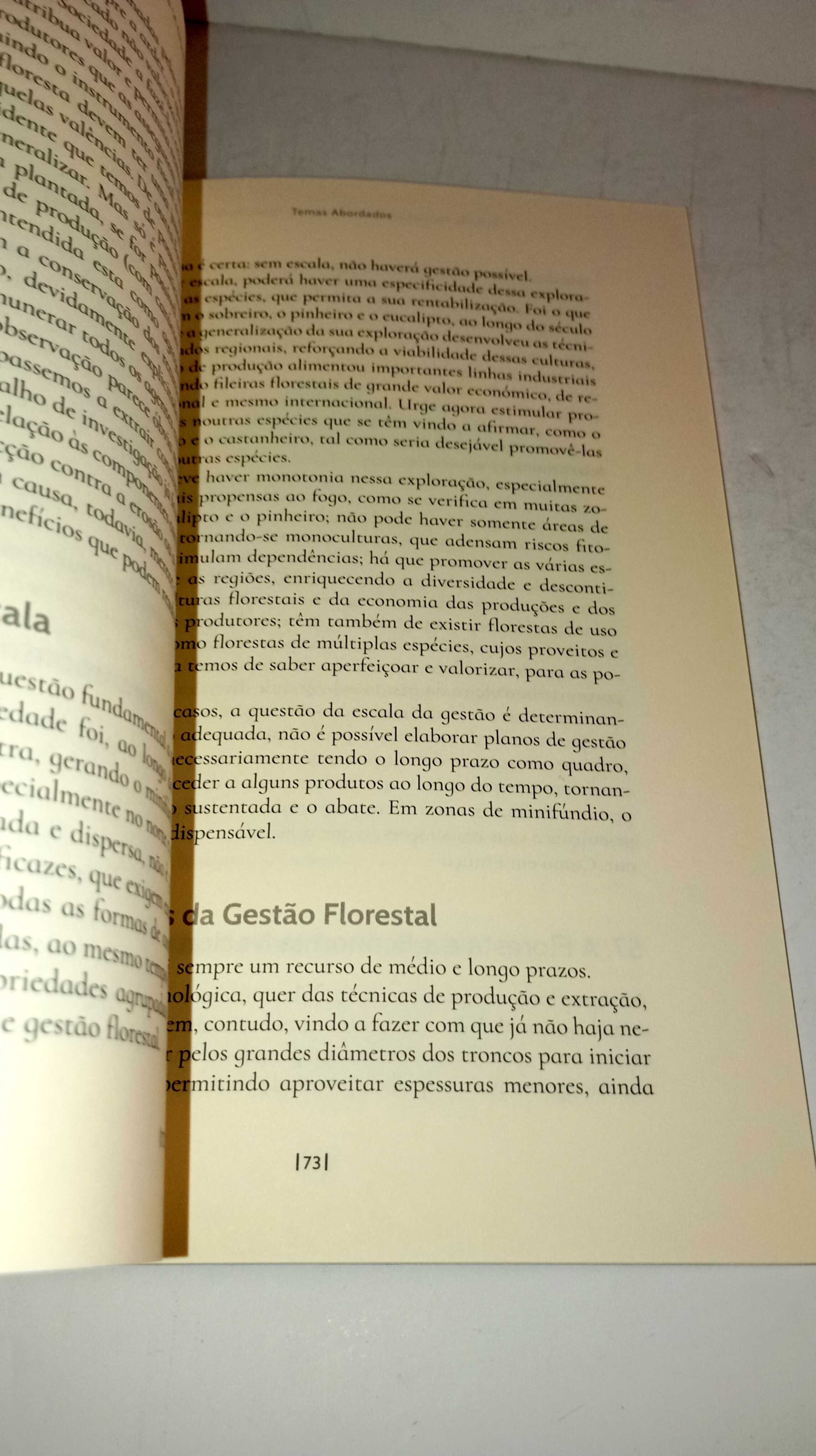 A Gestão das Terra Florestais