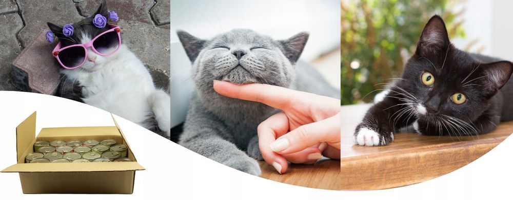 20 Szt. X 400G Karma Mokra Dla Kota Puszka Pakiet  Mix Smaków