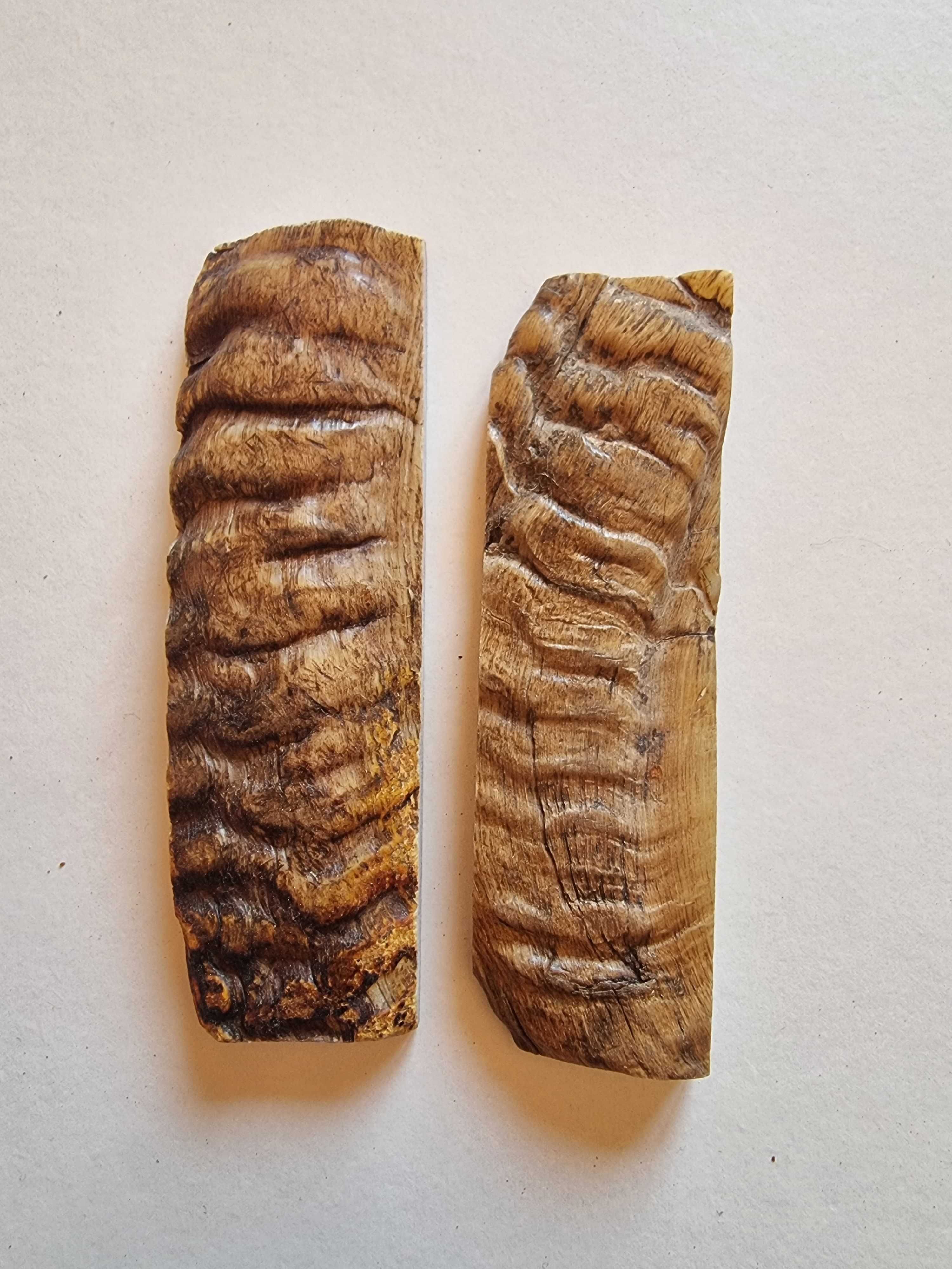 Talas de Carneiro