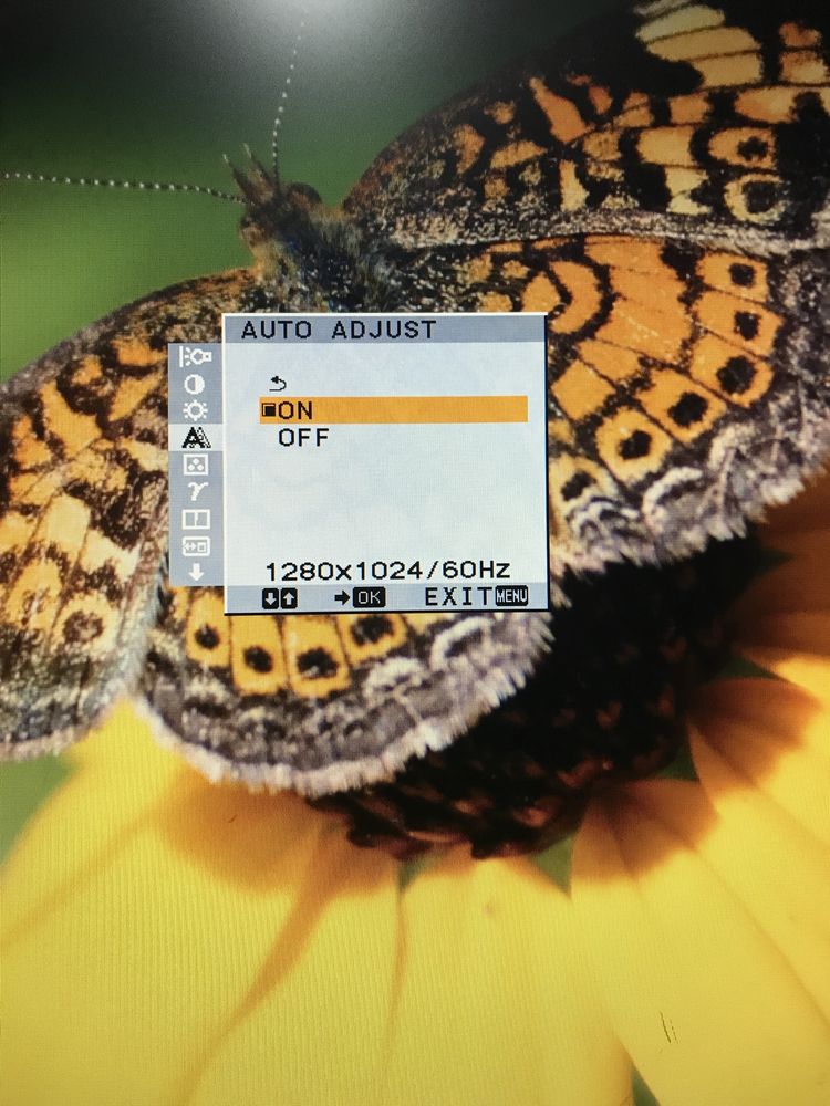 Komputer HP+monitor 19in.+klawiatura z myszką