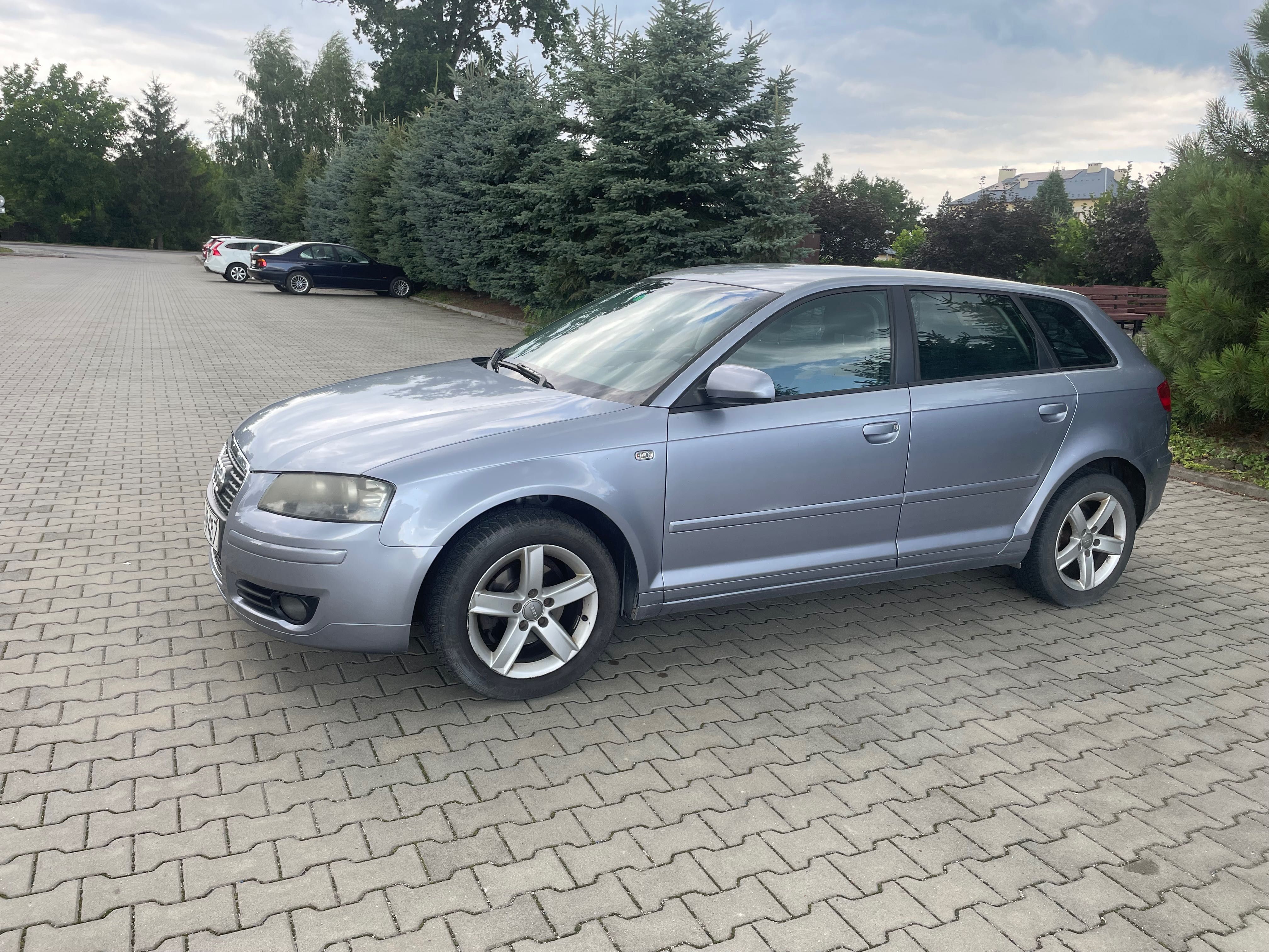 Audi A3 8P 2005 r 1.9 TDI