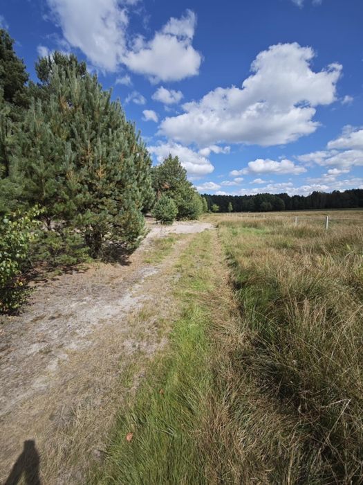 Działka rolno budowlana przy lesie Roździn