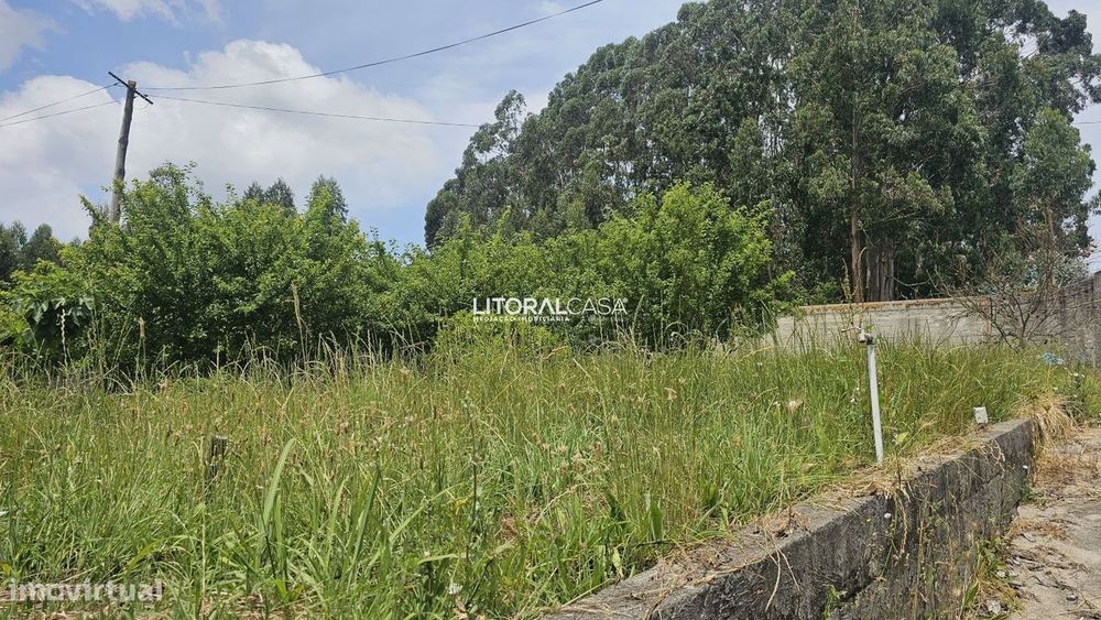 Terreno para construção | Aradas