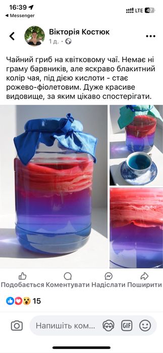 Чайний гриб/комбуча на 1л, 3л банку та на лимонадницю. Домашній квас.