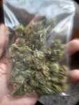 Susz AK 47 THC/CBD 19%