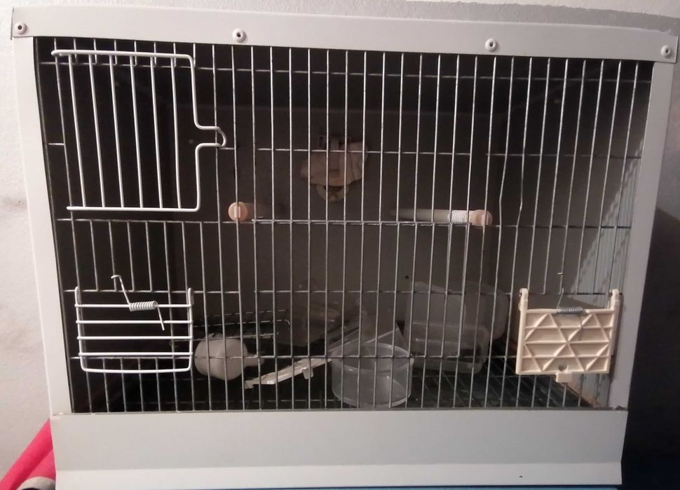 Gaiola/Viveiro em chapa metálica