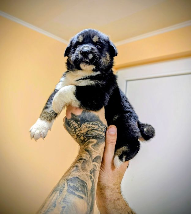 Ростуть малючки!