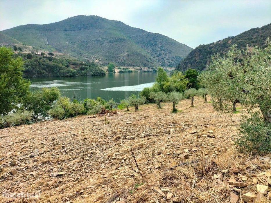 Quinta De 12Ha Com Frente De Rio No Douro Internacional