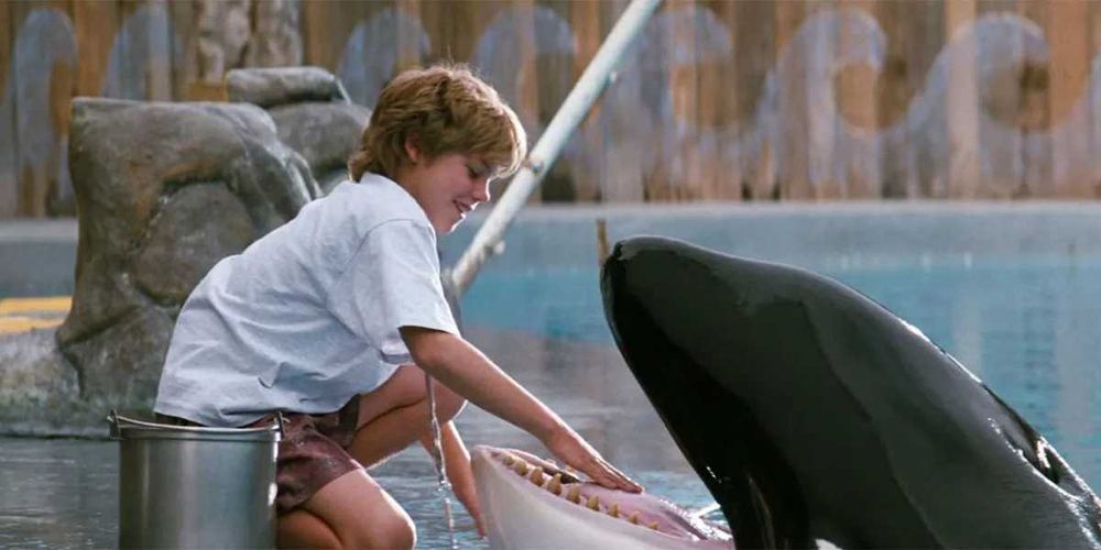 Trilogia LIBERTEM WILLY (Free Willy) Até onde irás por um Amigo?