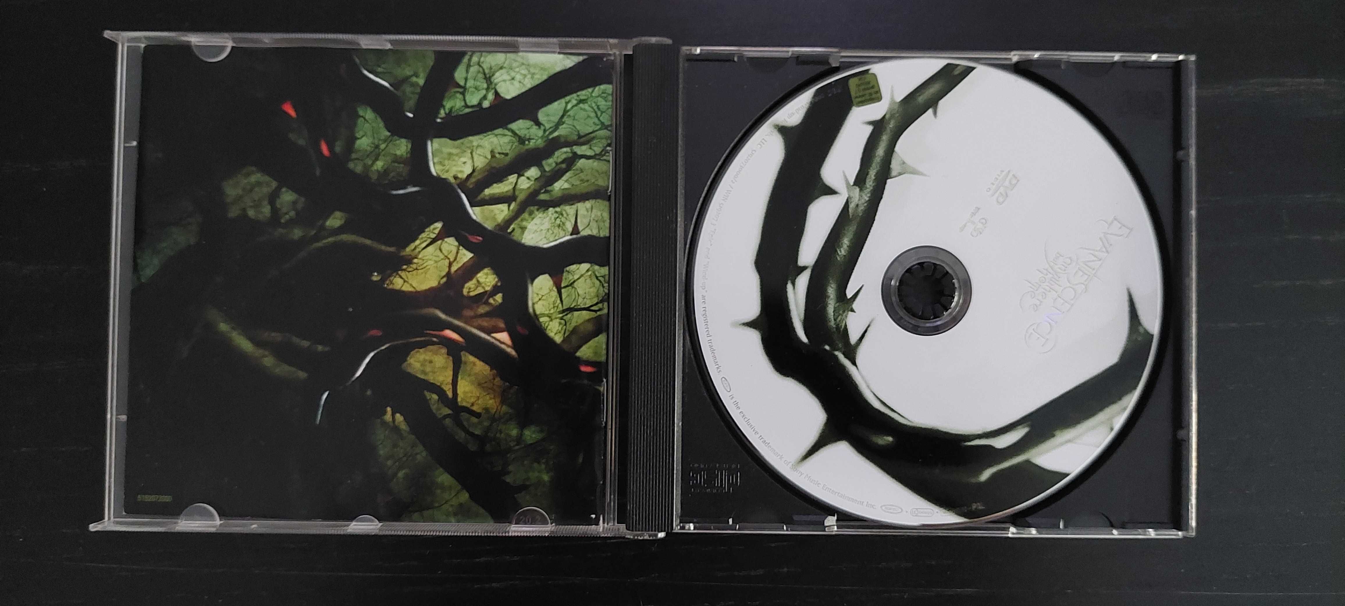 CD Original Evanescence – Anywhere But Home