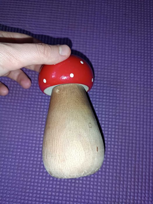 Дерев'яний гриб-горіхокол