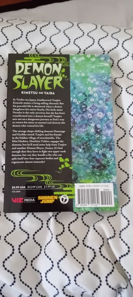 Demon Slayer manga n°13 em Inglês