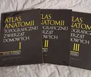 Atlas anatomii topograficznej zwierząt domowych 1-3 części komplet