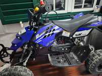 Mini moto 4 raptor 1
