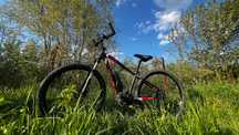 Електровелосипед Willier Triestina E803 XB Hardtail e-bike MTB