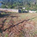 Terreno rústico agrícola para arrendamento