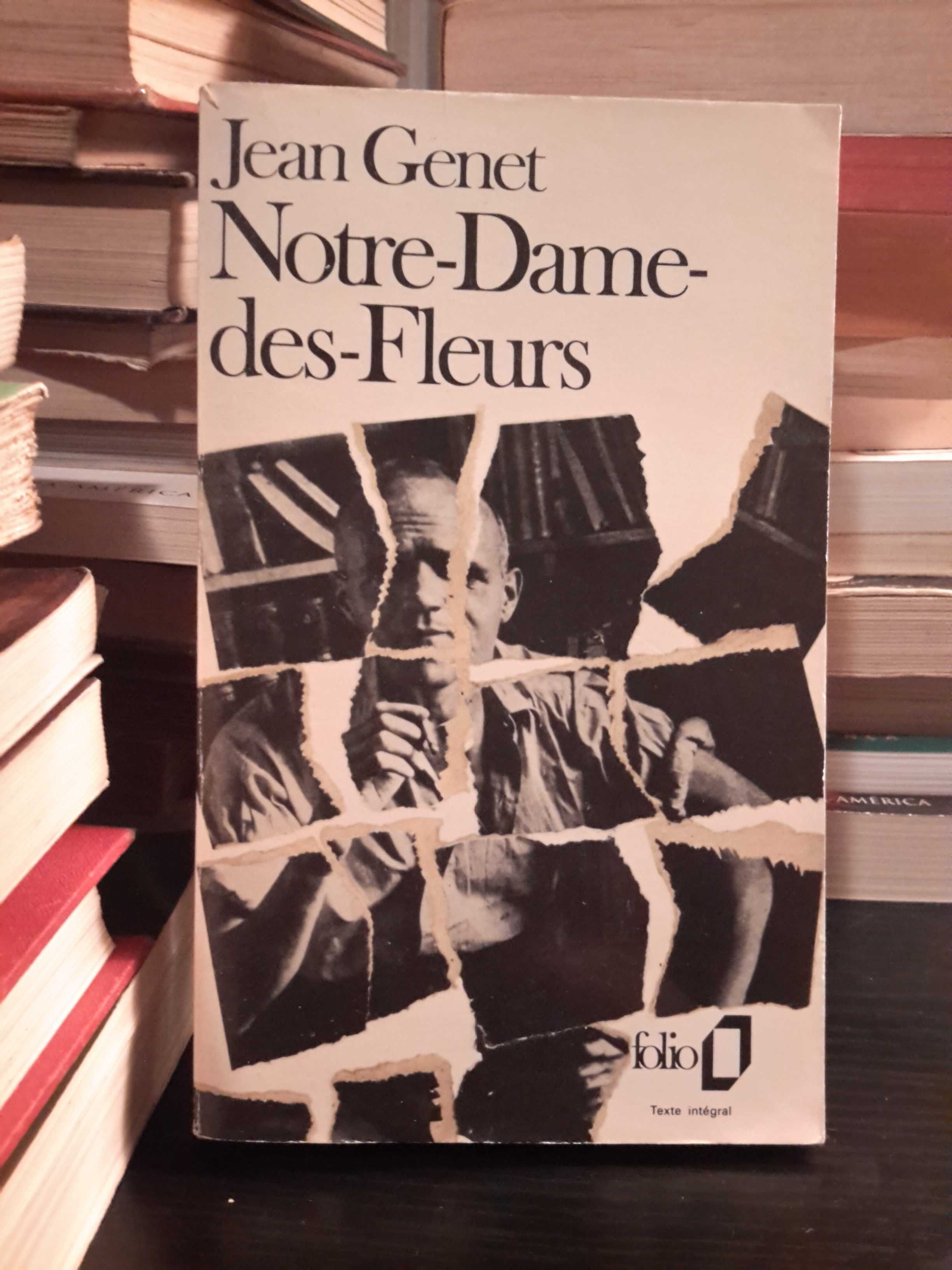 Jean Genet - Notre-Dame-des-Fleurs