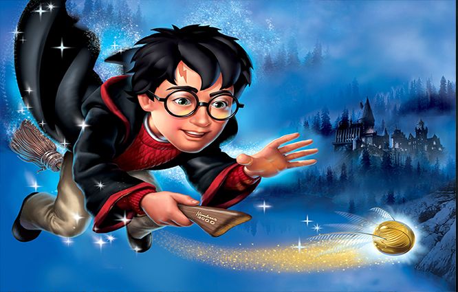 Bidon Harry Potter PRODUCENT