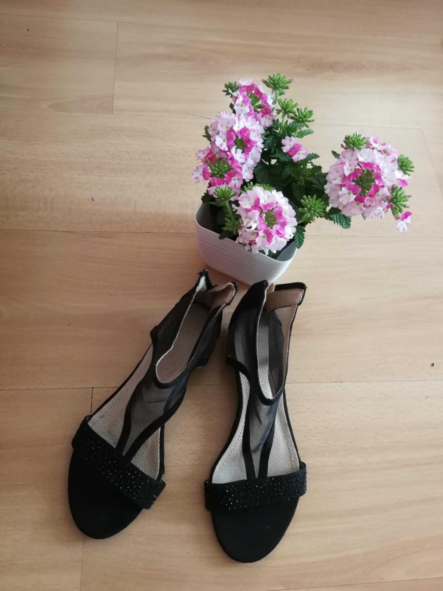 Sanadały na koturence