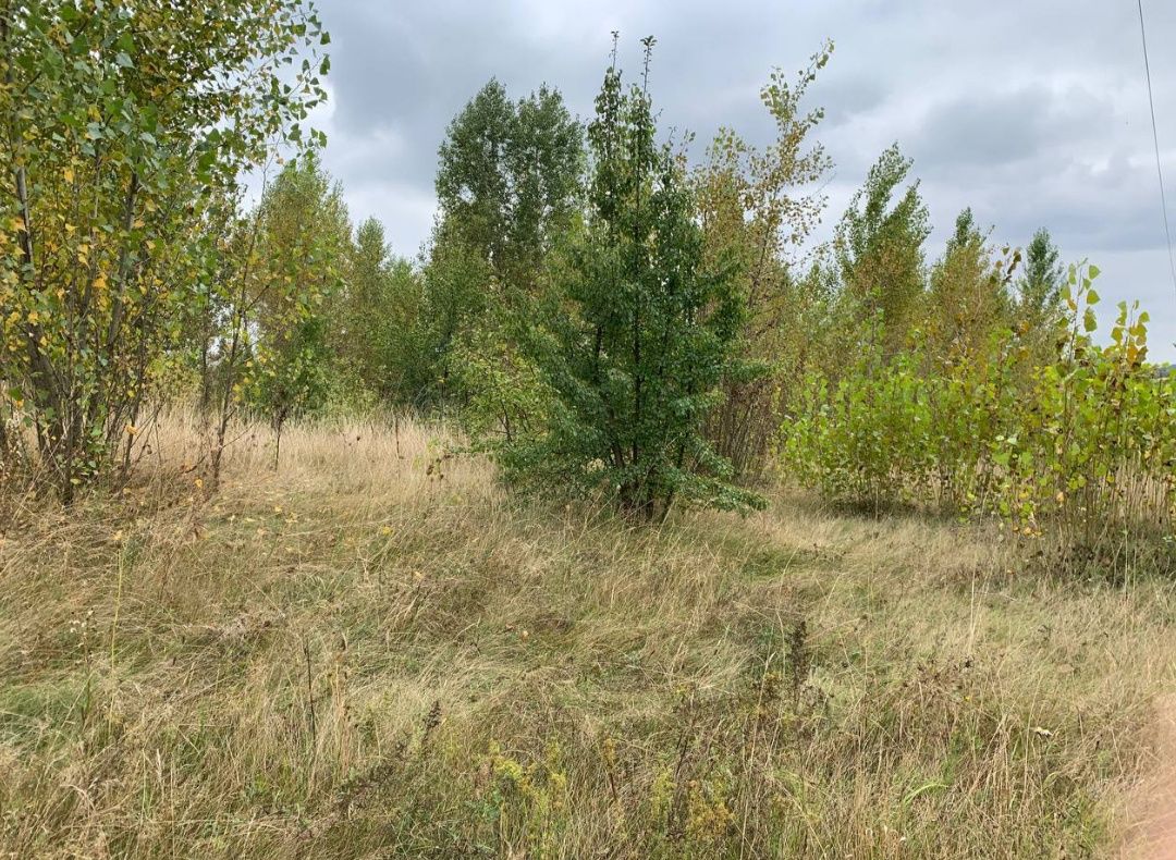 Продам 6 га під індивідуальне будівництво