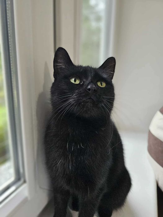 Chryzia z Fundacji Miasto Kotów