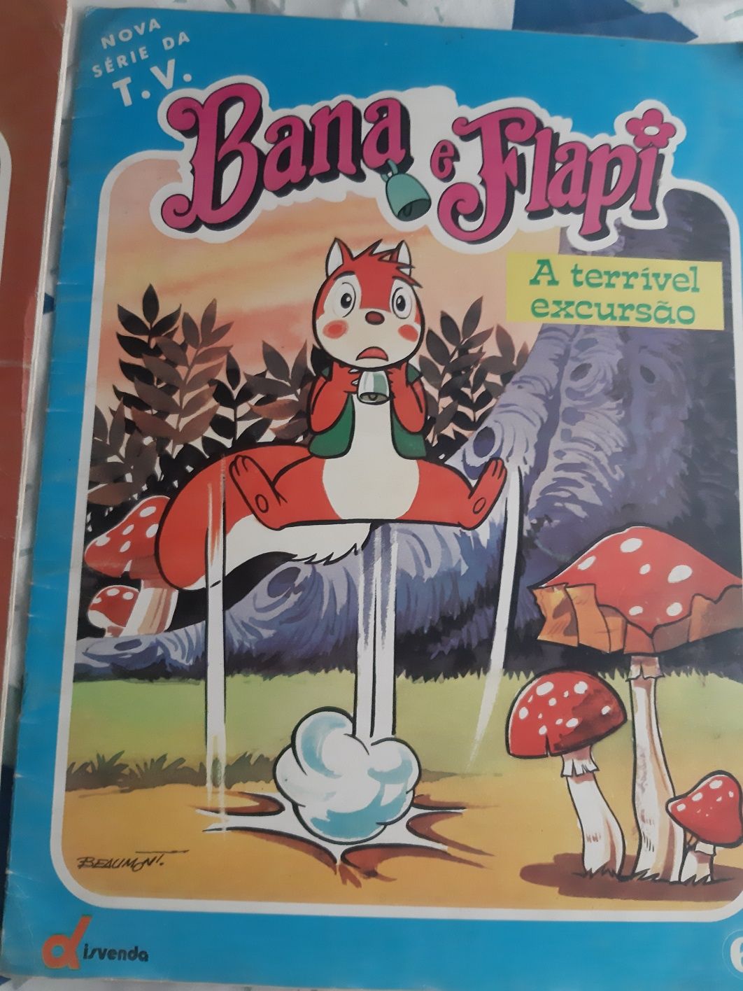 Livro Bana e Flapi