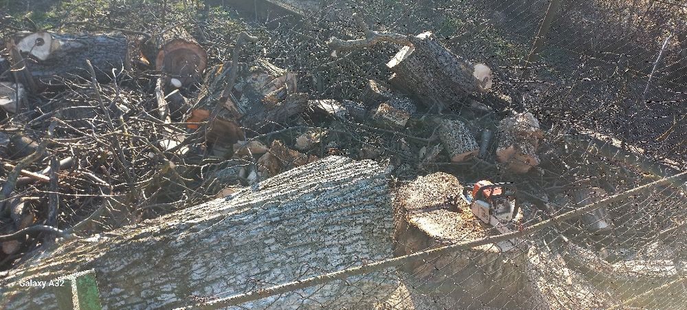 Вирізка дерев та чистка території від чагарнику!