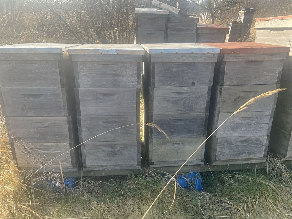 Ule Jednościenne Langstroth 3/4