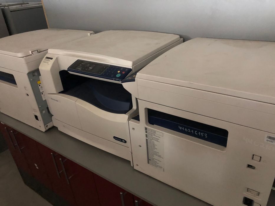МФУ, ксерокс, принтер, Xerox 5019