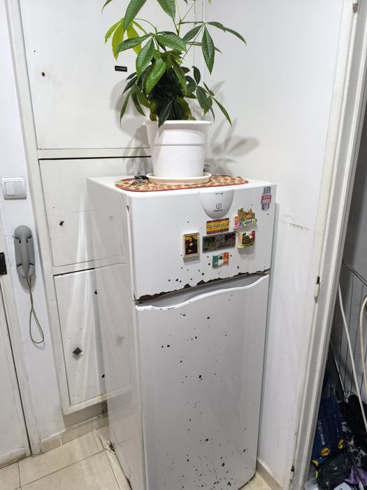 Frigorífico 140x55x53