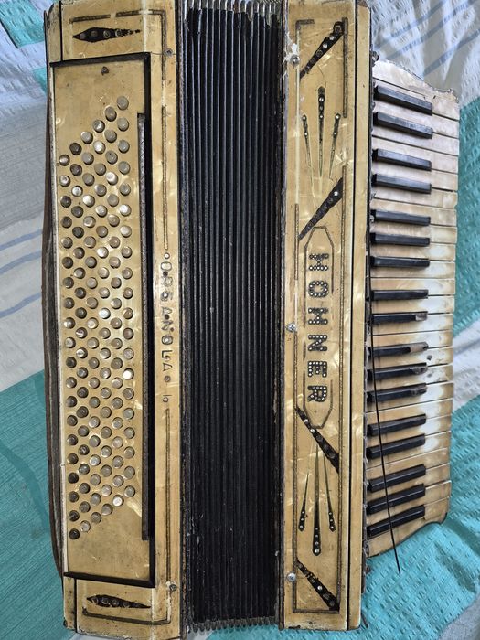 Akordeon Hohner Organola