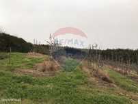 Terreno  para venda