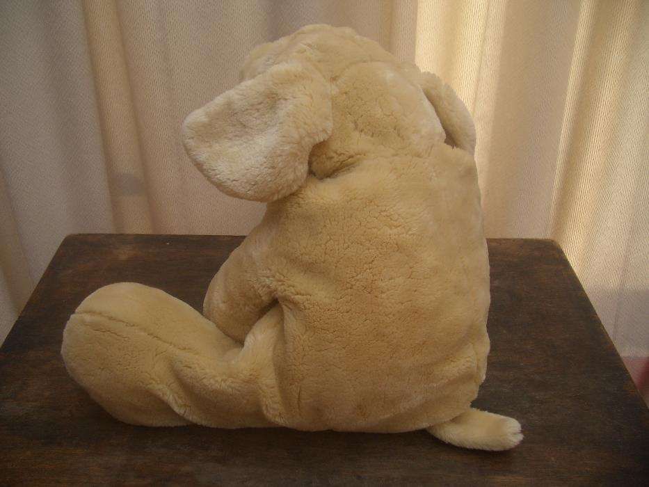 Cão  de  peluche