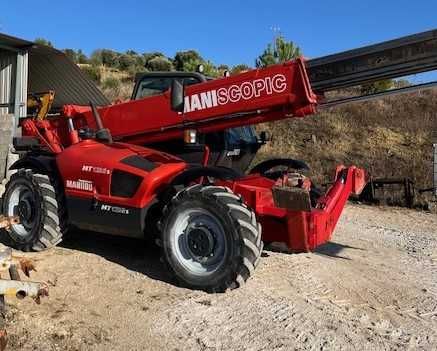 Manitu telescopico