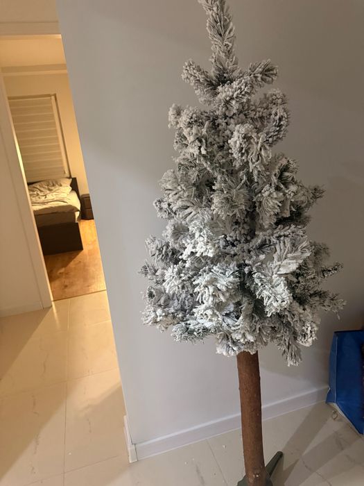 Choinka na wysokim pniu 170 cm